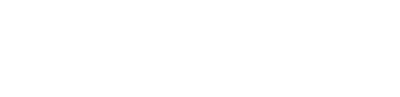 USC Marshall School of Business Logo White